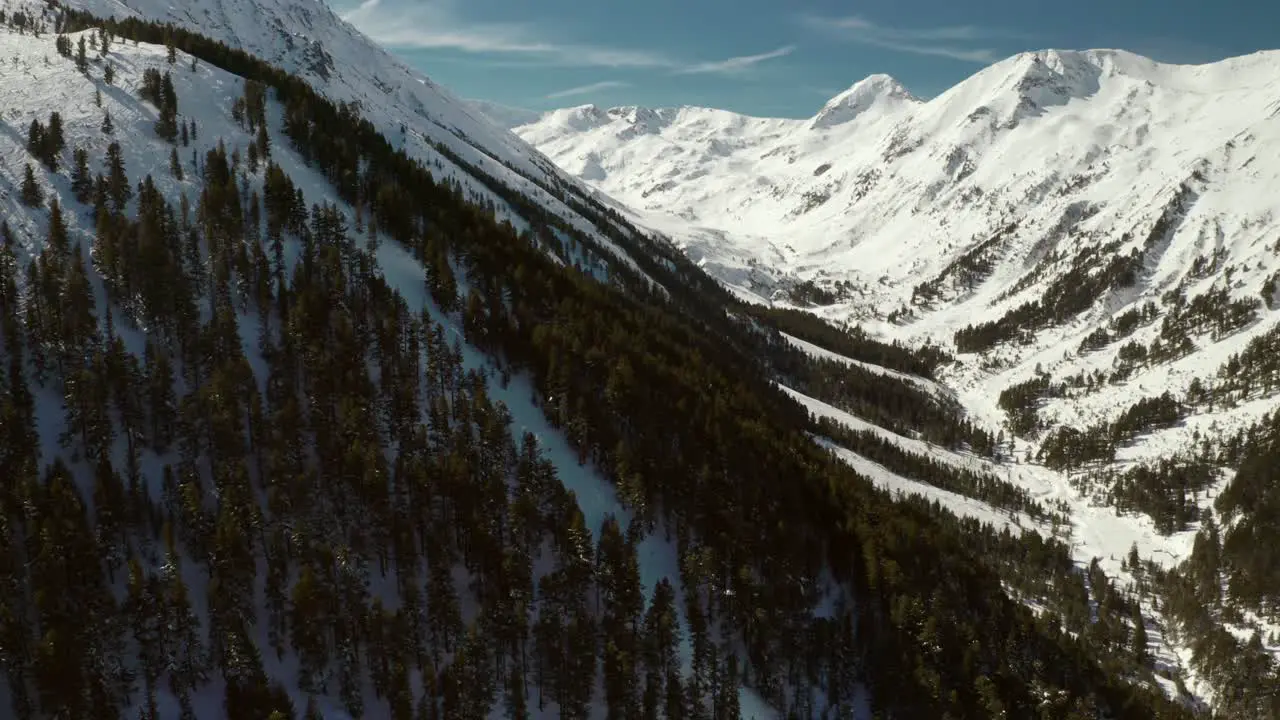 Pine Tree Forest in Snowy Bulgaria Mountain Landscape Aerial Panorama