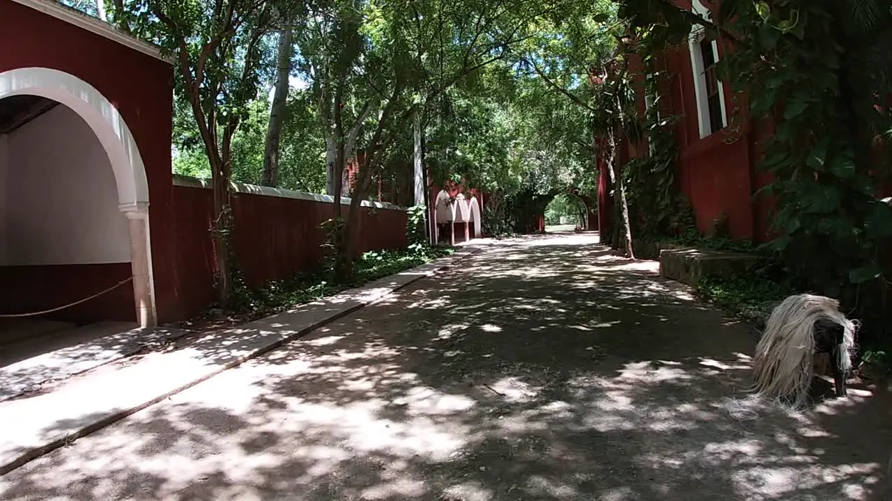 traditional elaboration process of henequen strings in a farm in the state of Yucatan