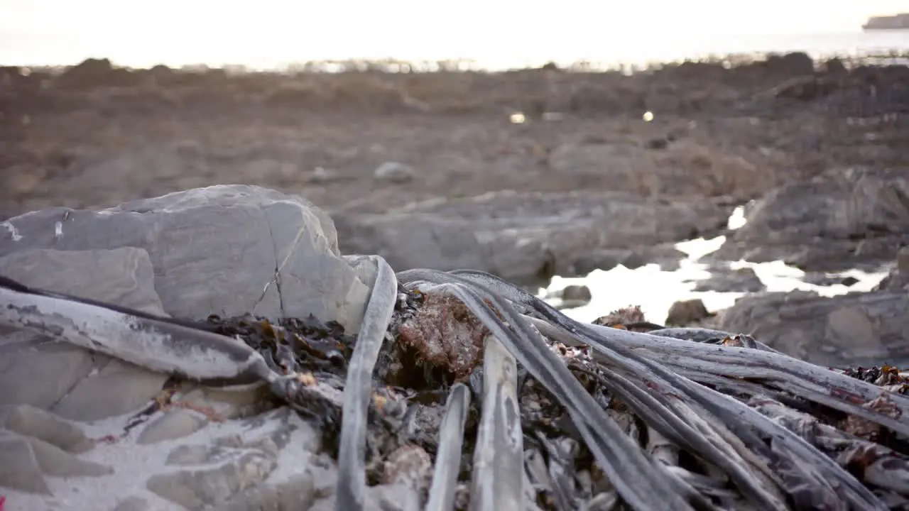 Close up of rocks and tide pool at beach slow motion