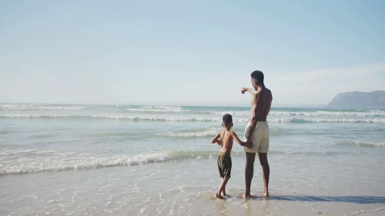 African american father and son holding hands enjoying at the beach