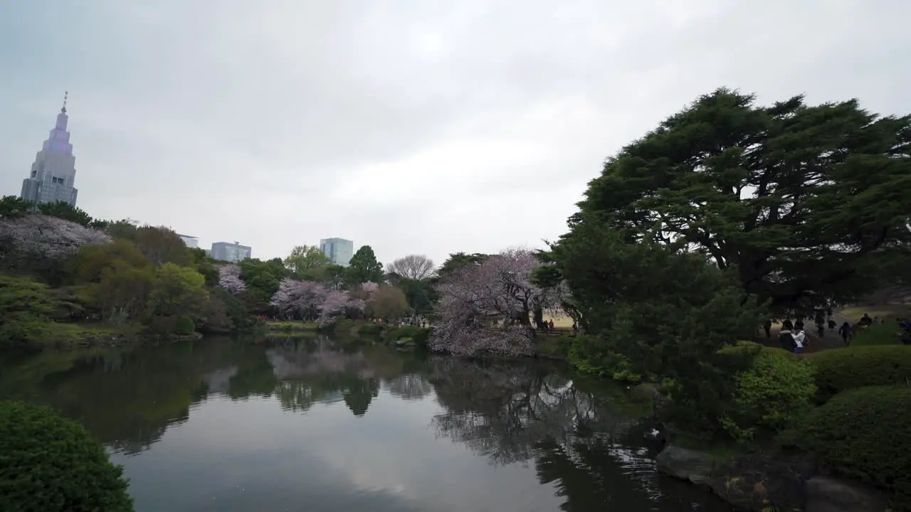 Docomo Yoyogi Building from Shinjuku Gyoen National Garden Japan 4K During Cherry Blossom Season Sakura