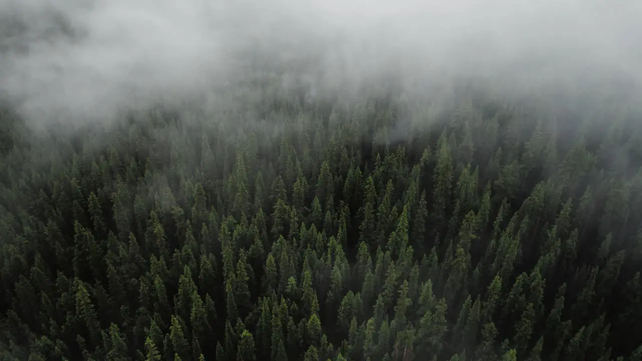 Time Lapse of clouds floating over trees on a mountain