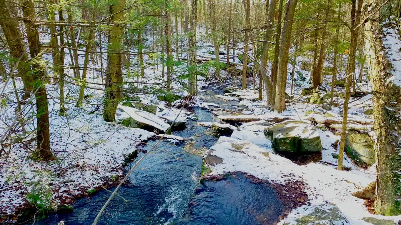 Gentle stream running through a green forest just after an early springtime snowfall