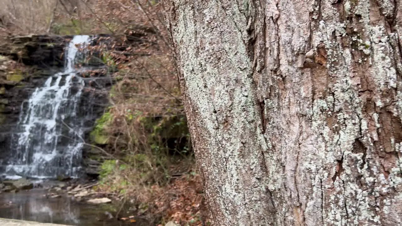 slow revealing pan from behind a tree to a gorgeous waterfall flowing at cove spring park Frankfort kentucky 4k