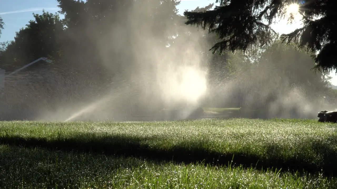 Sunrise through sprinklers in the suburbs static