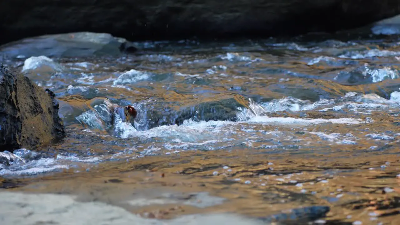 Water Flowing In The River With Rocks