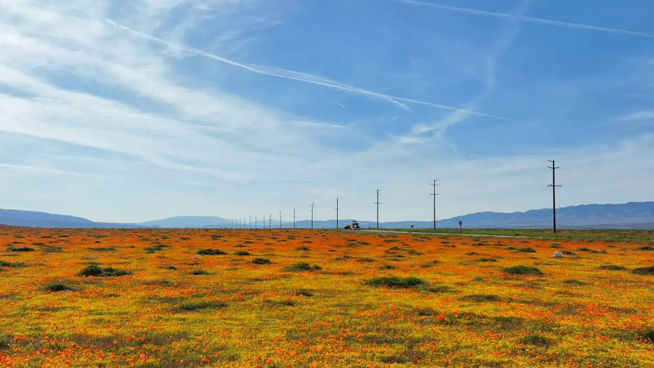 Miles of colorful poppies in the Mojave Desert landscape in spring 2023 aerial flyover