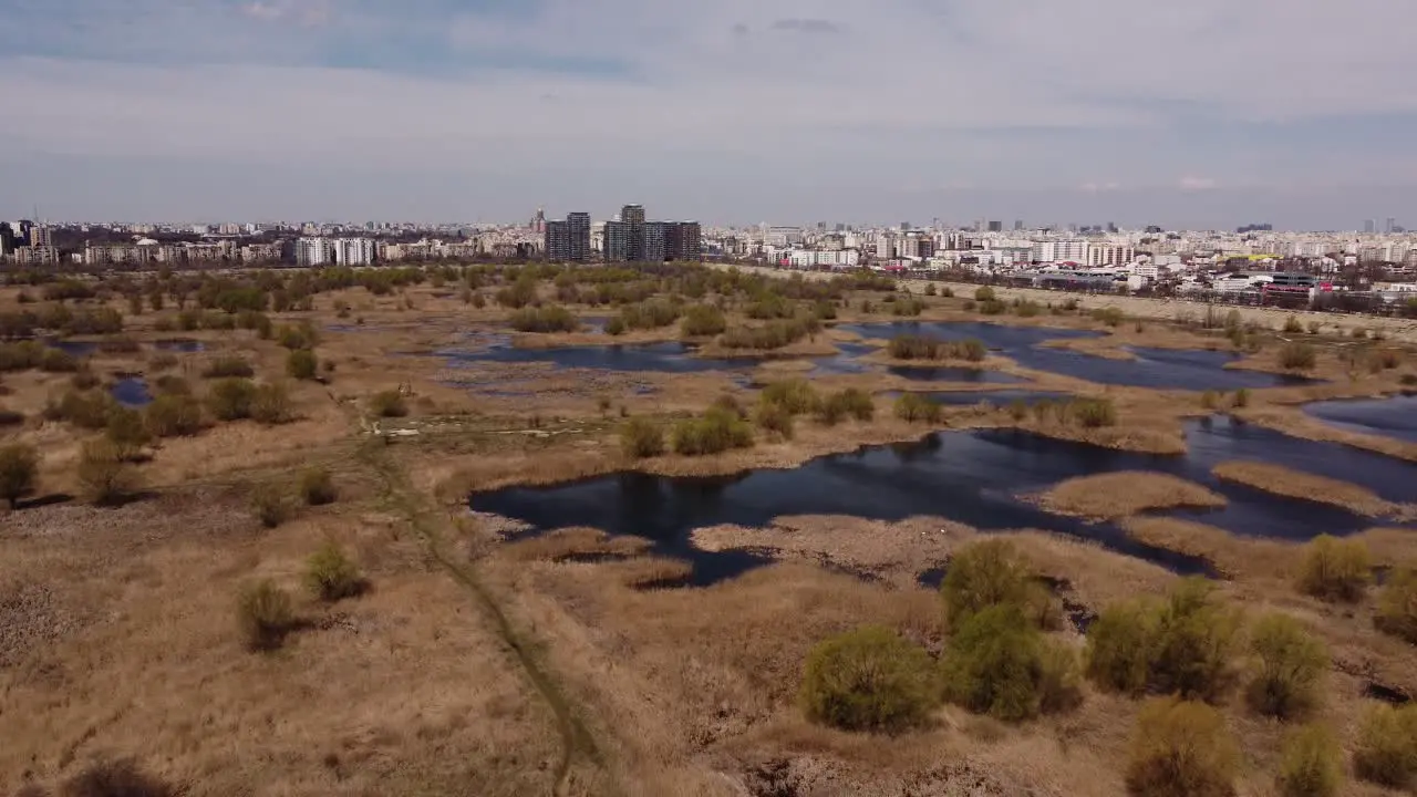 Aerial View Of Natural Park Near Big City