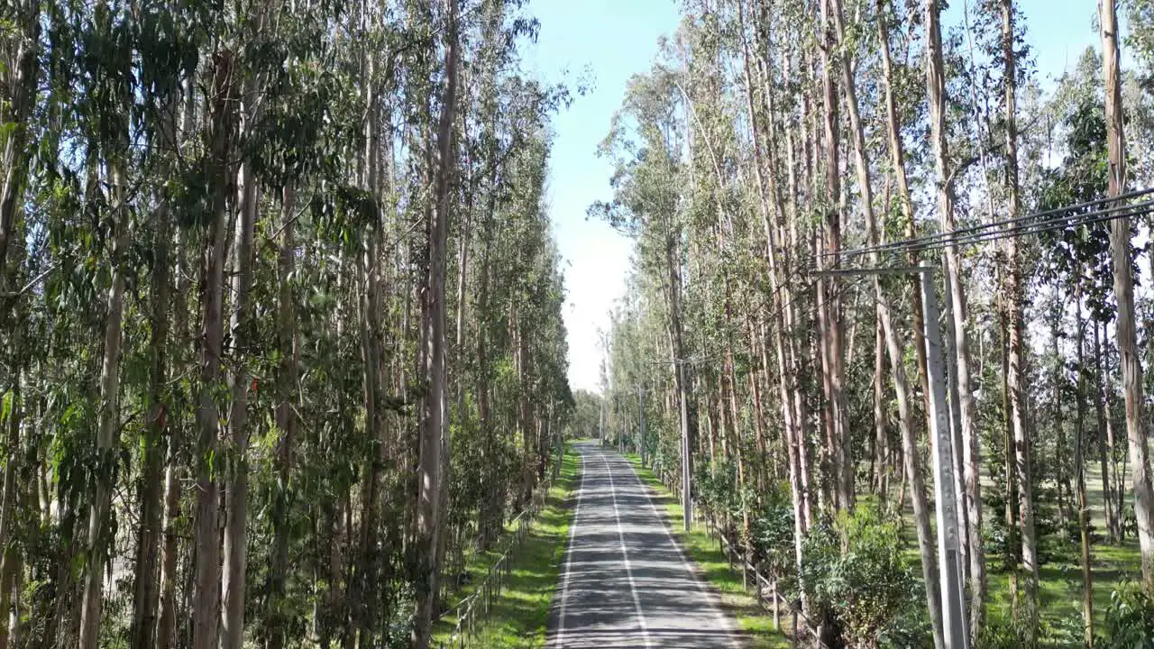 Loma Verde highway Valparaíso region