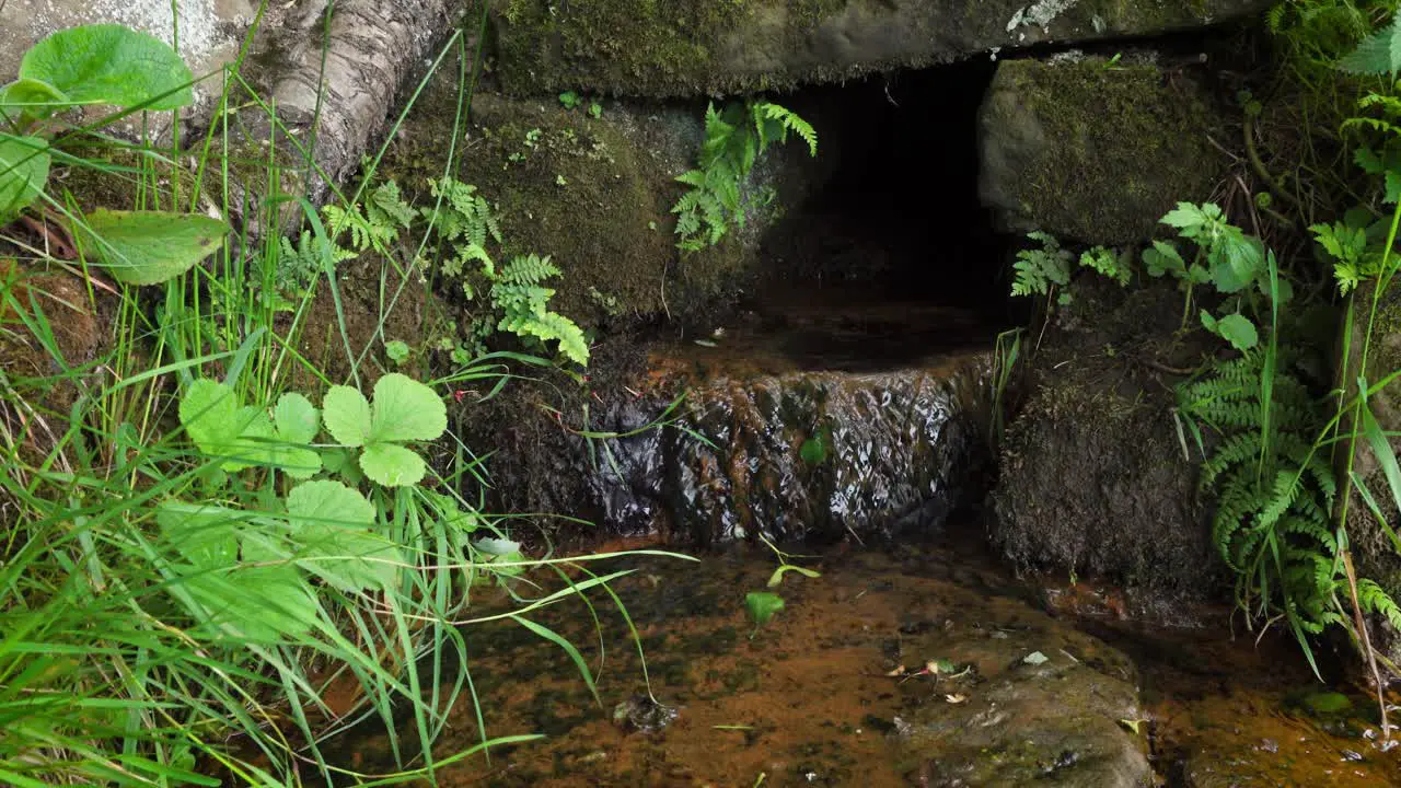 A spring of clear water trickling from a dark stone drainage channel