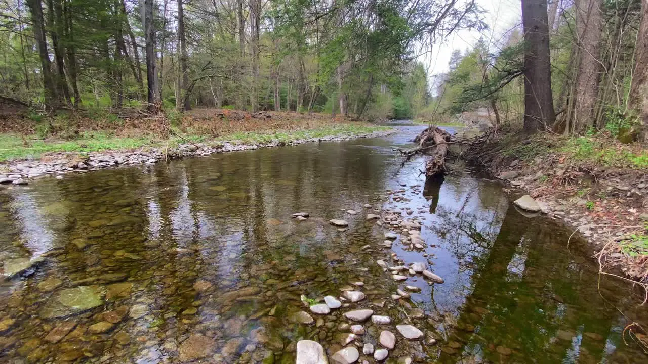 A beautiful stream in the catskill mountains during spring in new york state's hudson valley