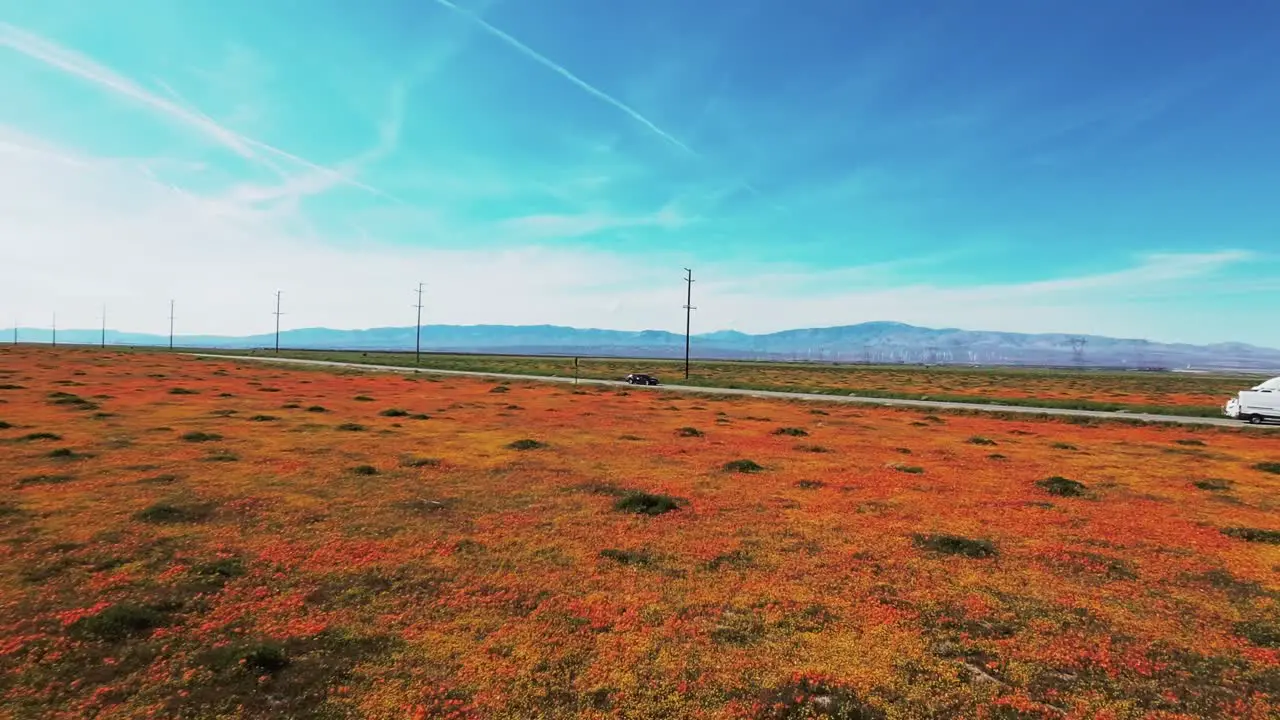 Wildflowers bloom in the southern California grasslands in spring aerial flyover