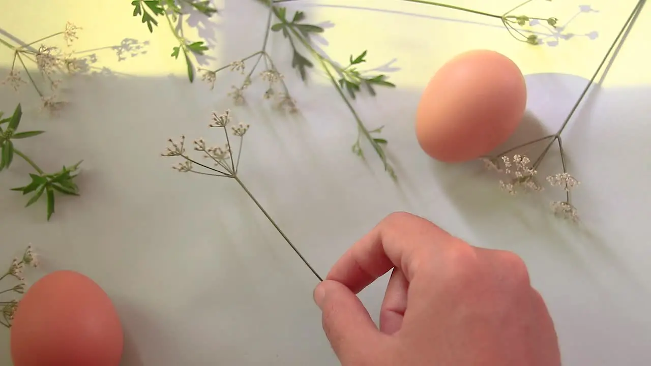 Arranging flowers and eggs to create a simple Easter and Spring themed background