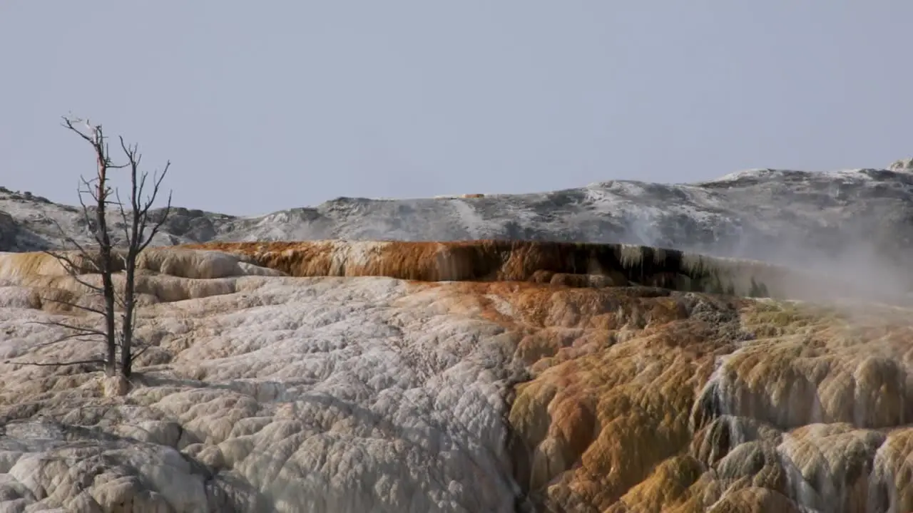 Steam Rising Above The Mammoth Hot Springs With Travertine Limestones During Summer At Yellowstone National Park Wyoming USA