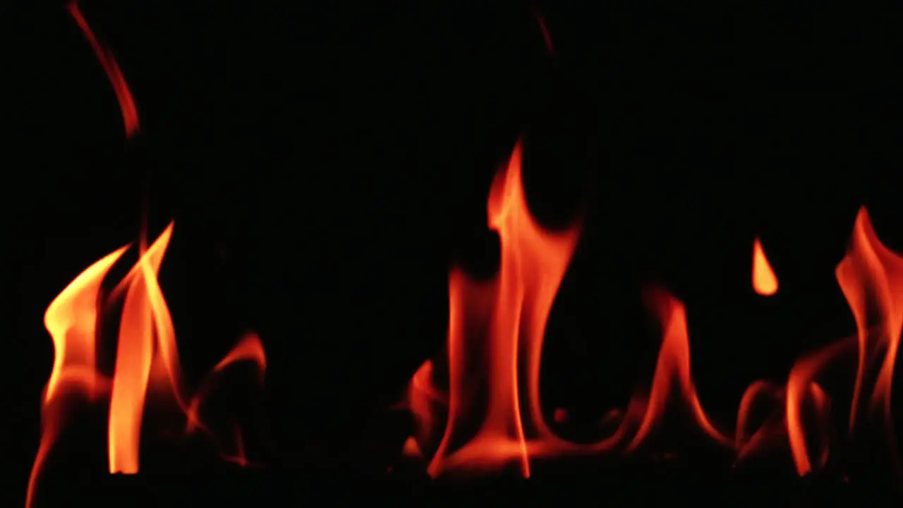 fire burning on a log slow motion