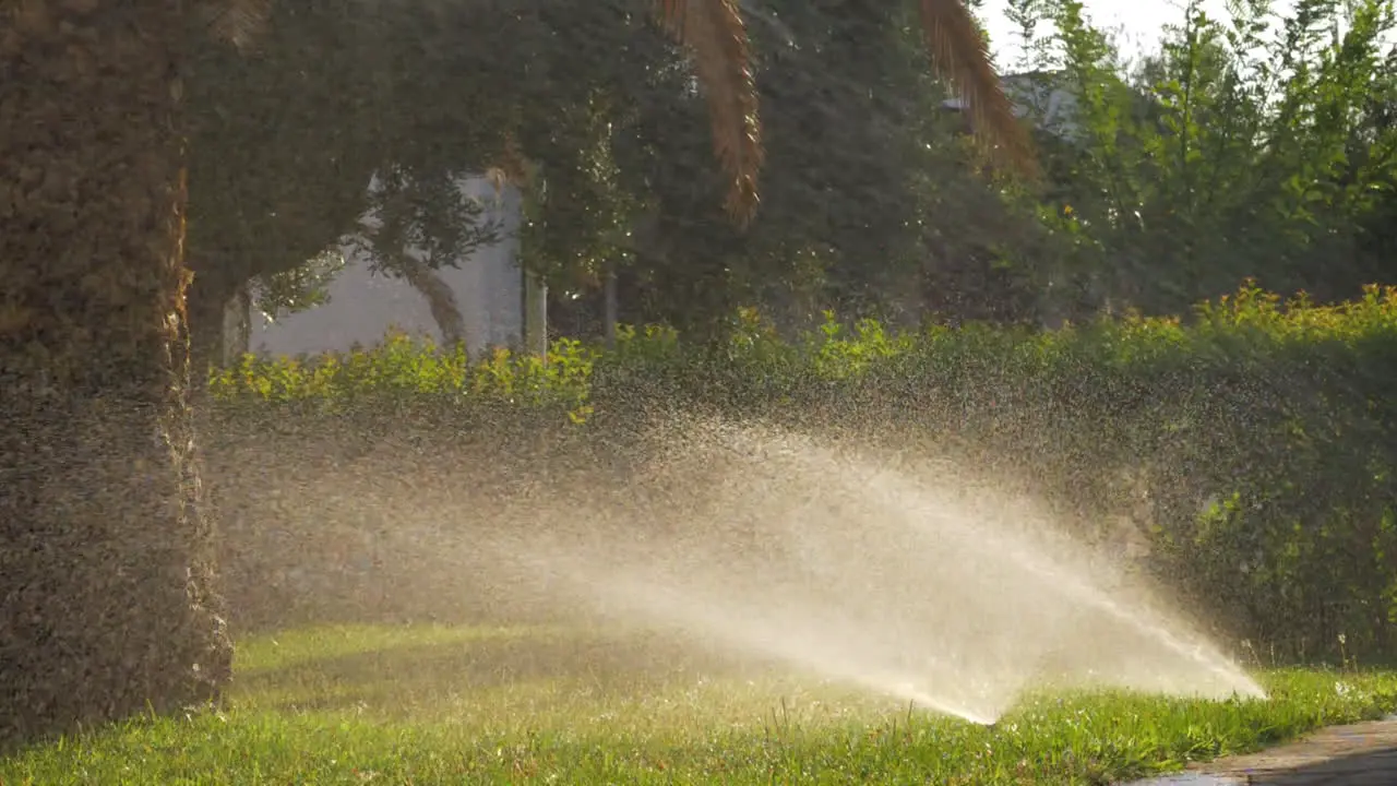 Automatic sprinklers watering green lawns