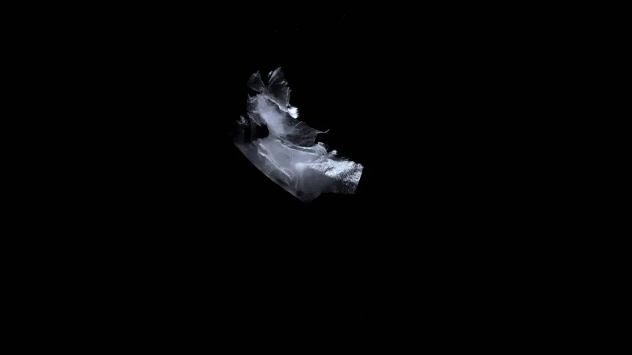 Delicate white feather falls slowly through black space and disappears