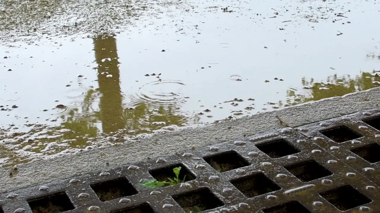 Rain falling next to a sewer in a park