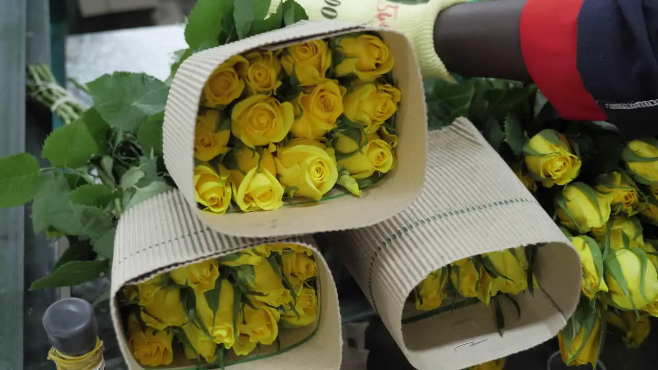 Roses Being Sorted At Flower Factory