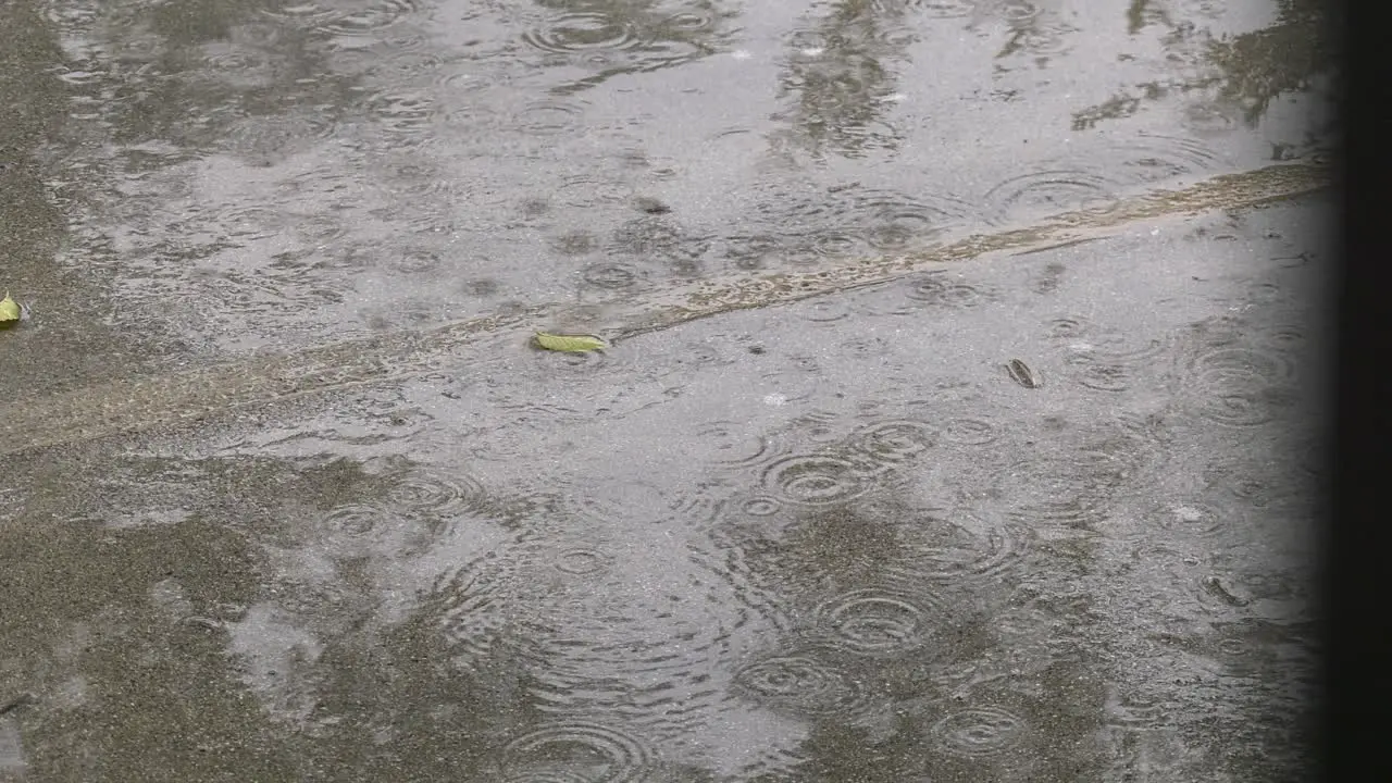 Raindrops falling on sidewalk and street