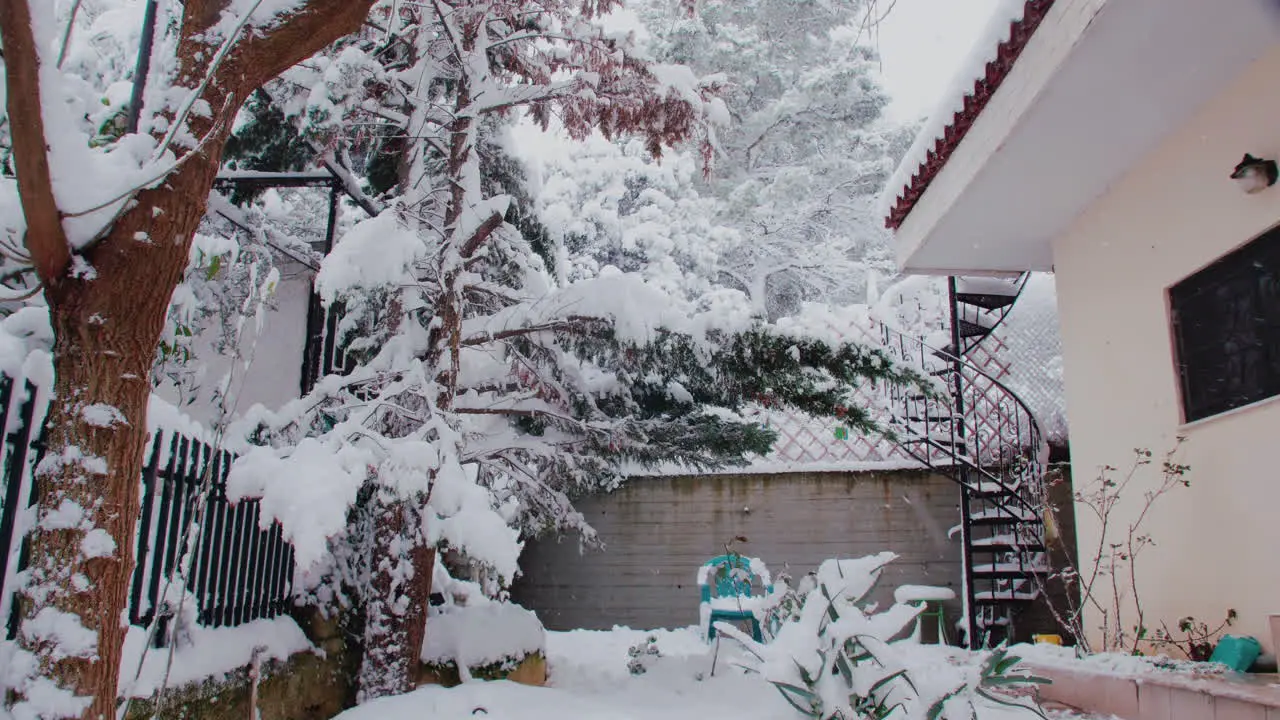 Rare Medea snowy covered Athens residential garden winter scene with light snowfall