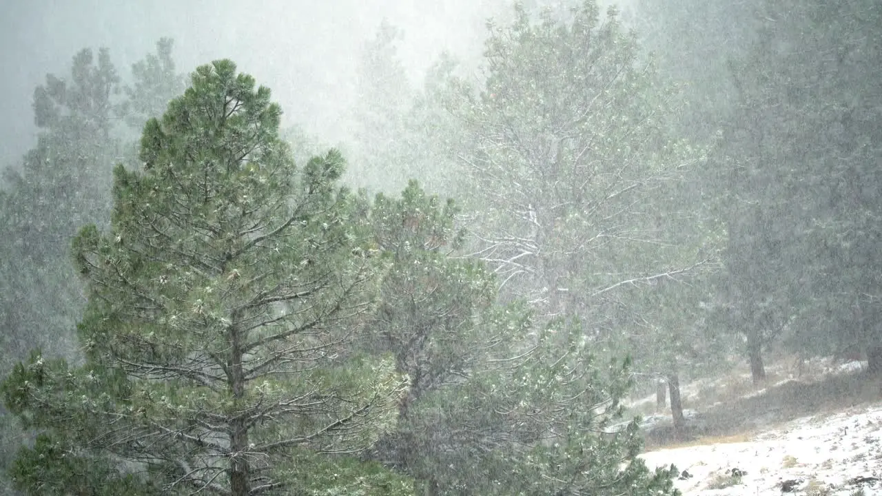 Heavy snowfall in the mountains of Colorado