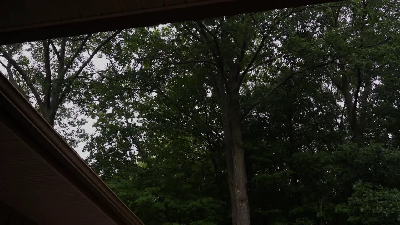 High angle of a roof and forest showing off the a light fall evening rain