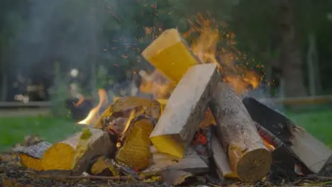 Close Up Shot of Wood Being Thrown Onto a Burning Campfire 