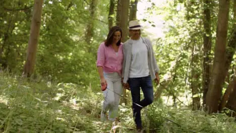 Wide Shot of Middle Aged Couple Walking Through Scenic Woodland