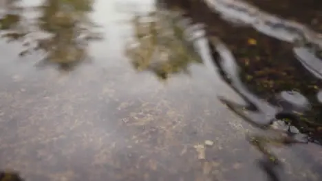 Close Up Of Rain Falling In Puddles On Pavement