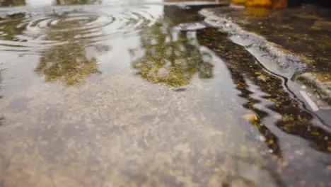 Close Up Of Rain Falling In Puddles On Pavement 1