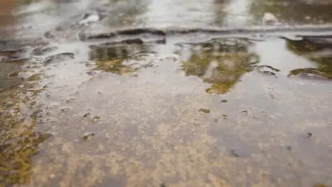 Close Up Of Rain Falling In Puddles On Pavement 2