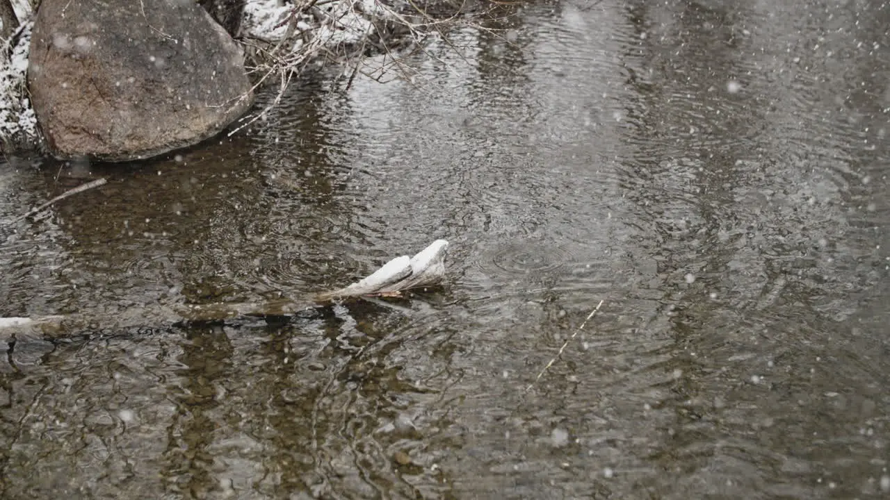 The camera tilts down to show huge snowflakes falling into water