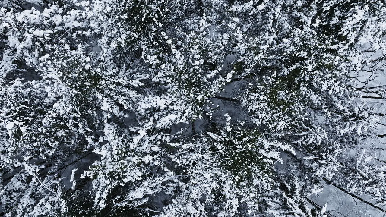 A drone's view unveils the snowy aftermath of a major blizzard cloaking a Midwest forest