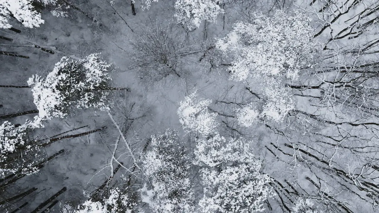 Drone perspective captures the snowy aftermath of a significant blizzard in the Midwest woods