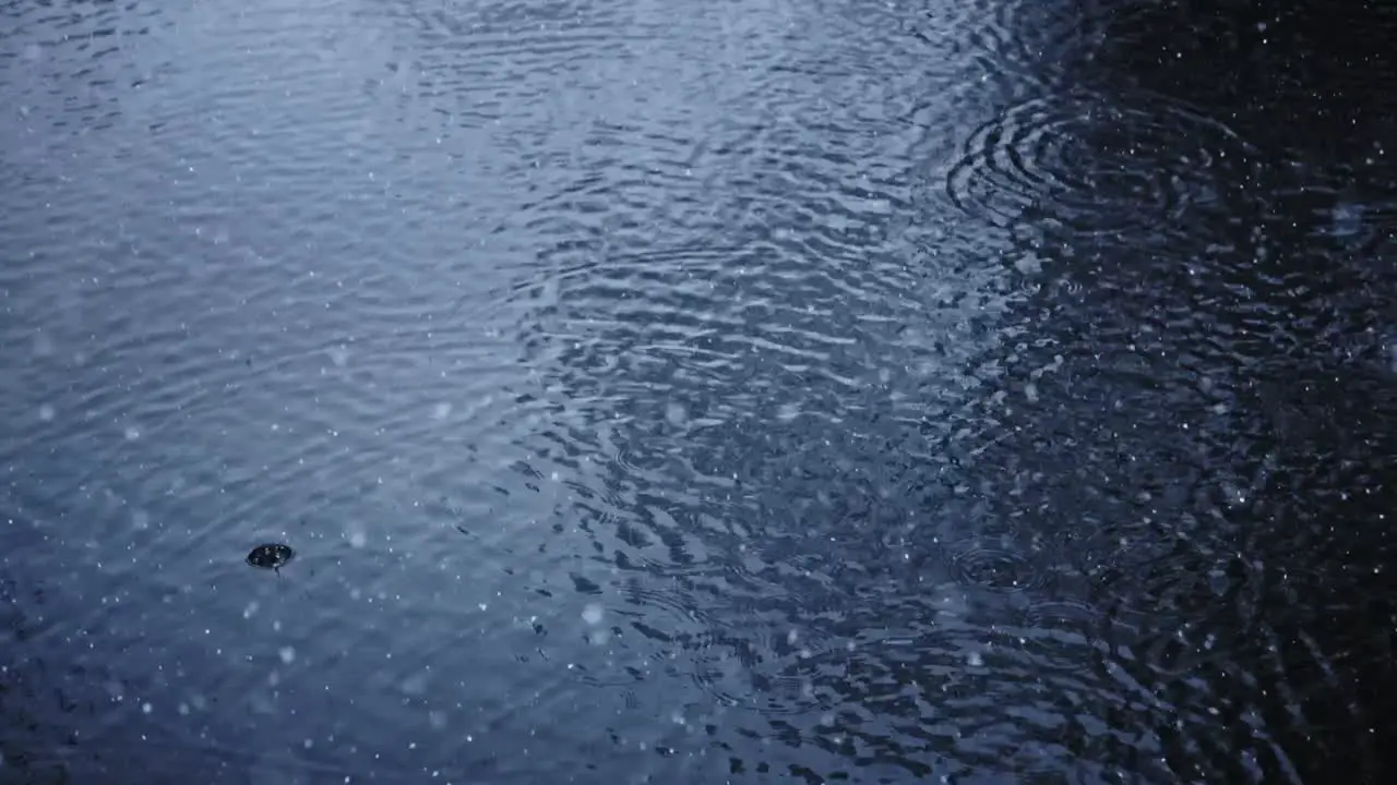 Huge snowflakes falling into river in slow motion