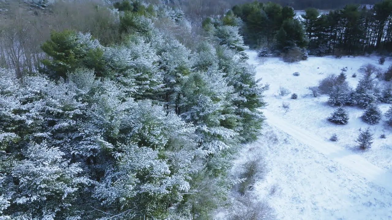 A drone's perspective unveils the winter enchantment of a Midwest woodland covered in snow after a significant blizzard