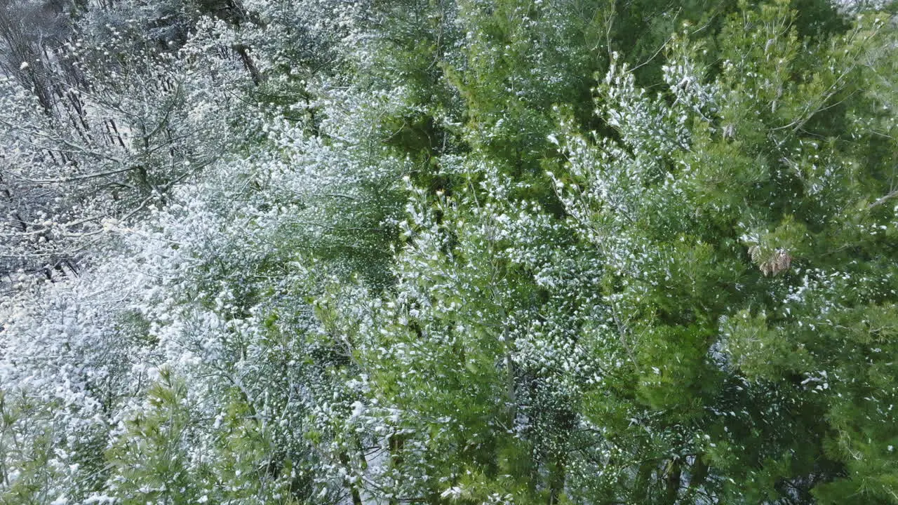 From above a drone reveals the snowy aftermath of a major Midwest blizzard cloaking the forest in a serene white landscape