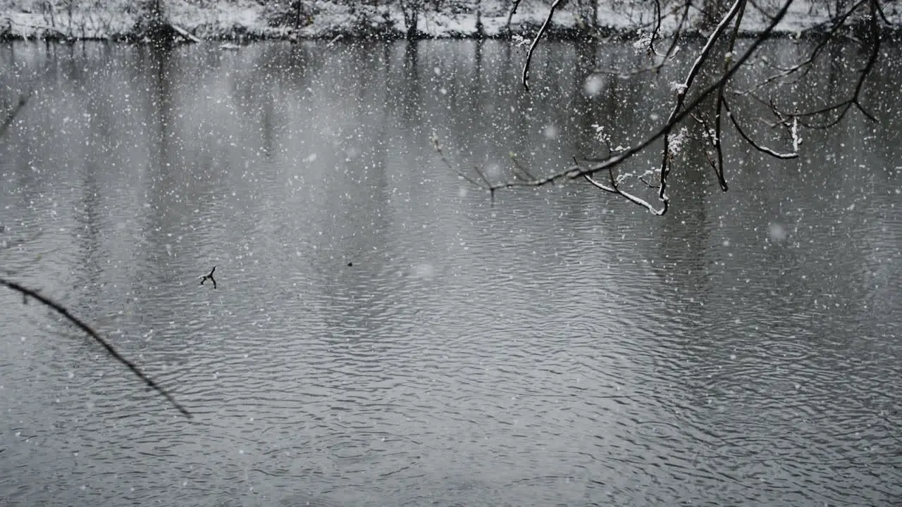 View from riverbank of snow falling into river in slow motion