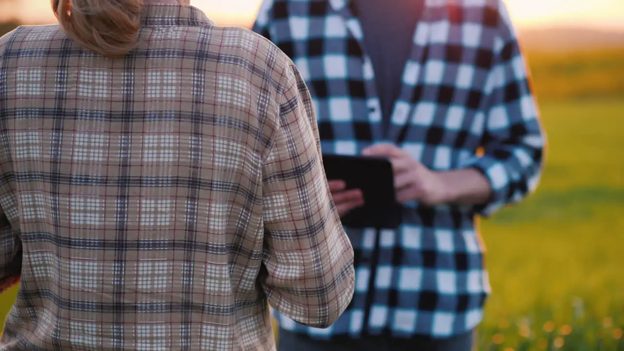 Farmers Stand In The Field Communicate And Use A Tablet