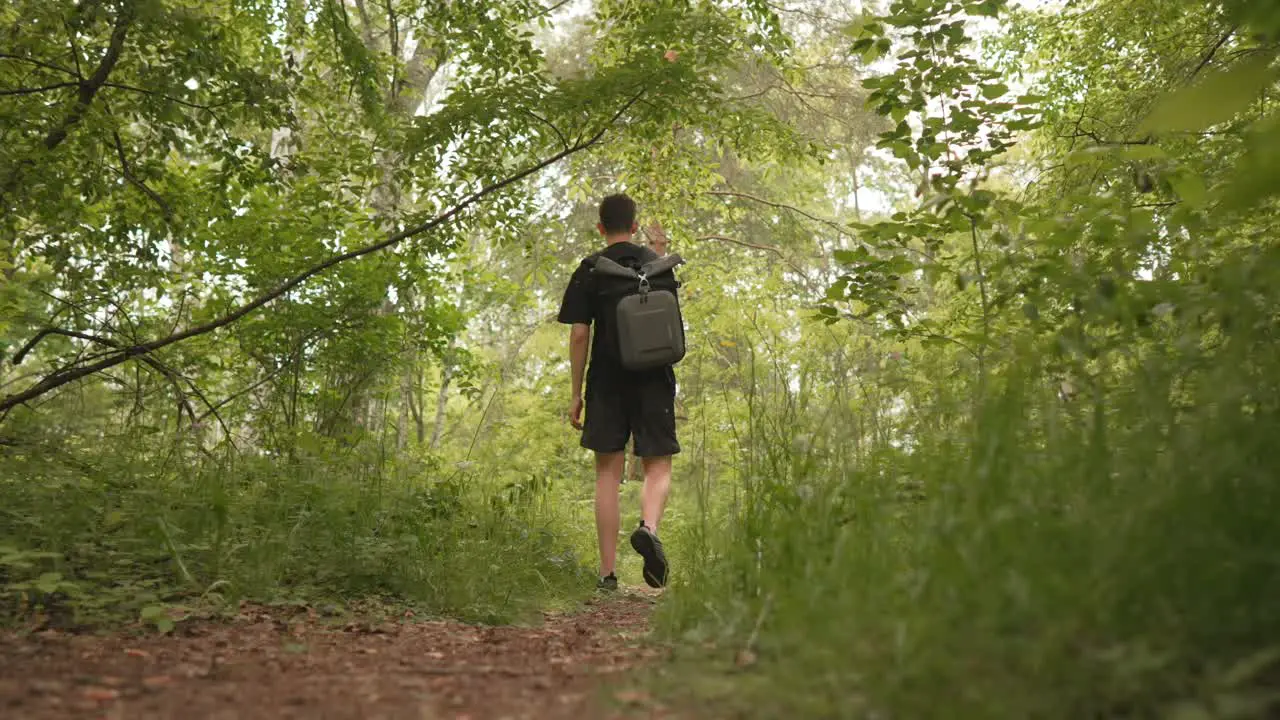 Videographer filming with gimbal in forest nature scene for video shoot slow motion