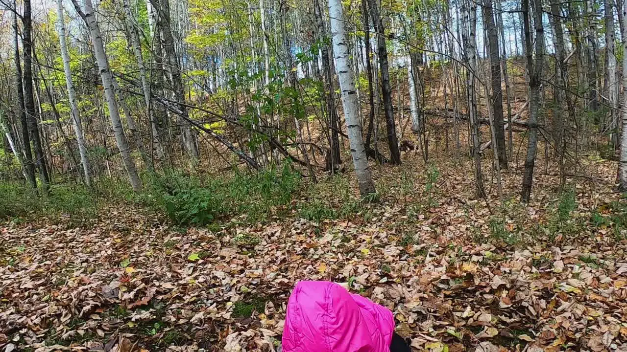 Little girl in pink hooded jacket bends over to pick up leaves and tosses them up SLOW MOTION