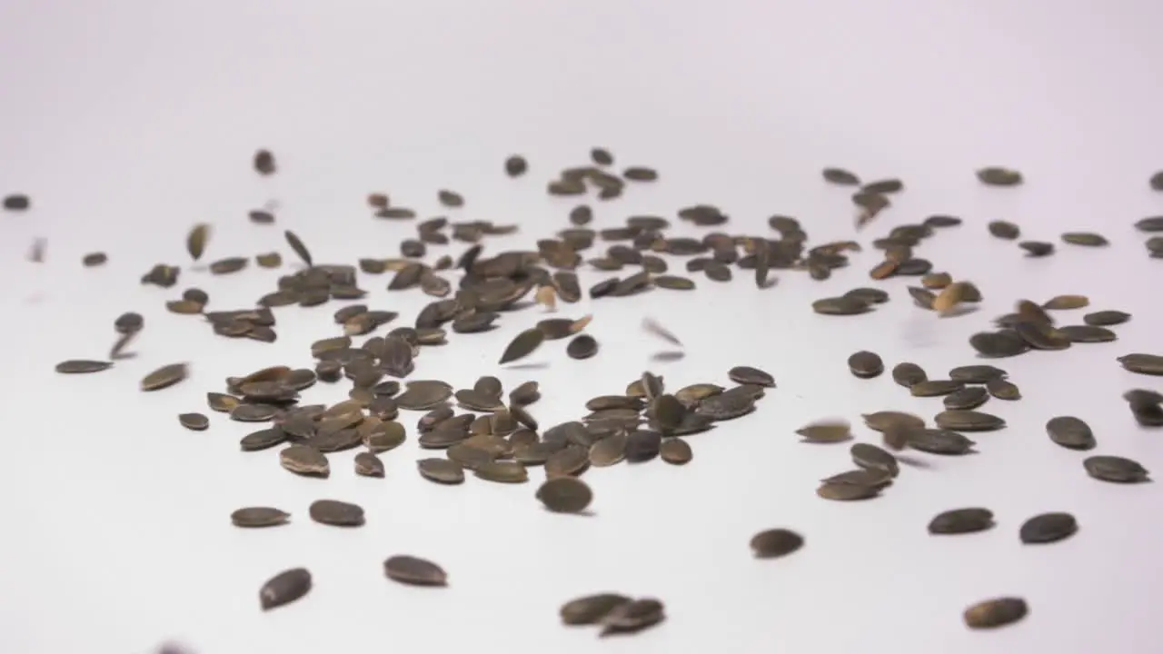 Pumpkin Seeds Falling In Free Motion Over White Background close up