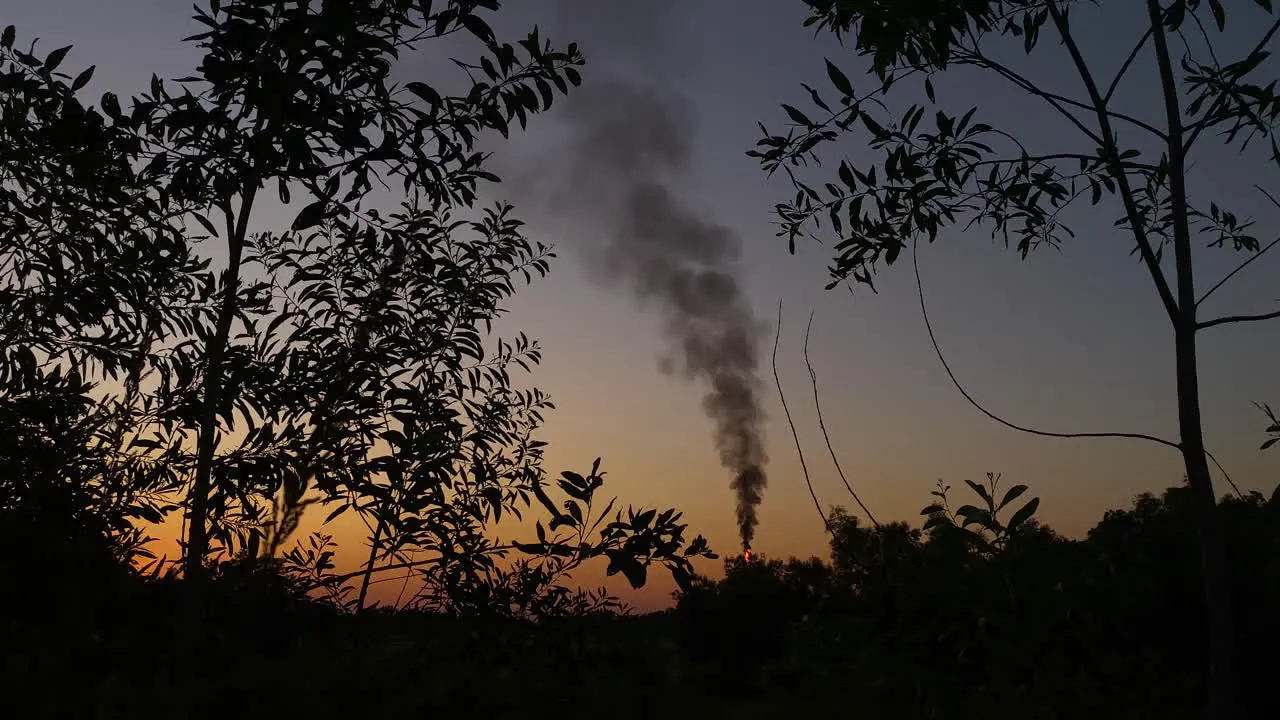 Forest burning smoke rising at sunset