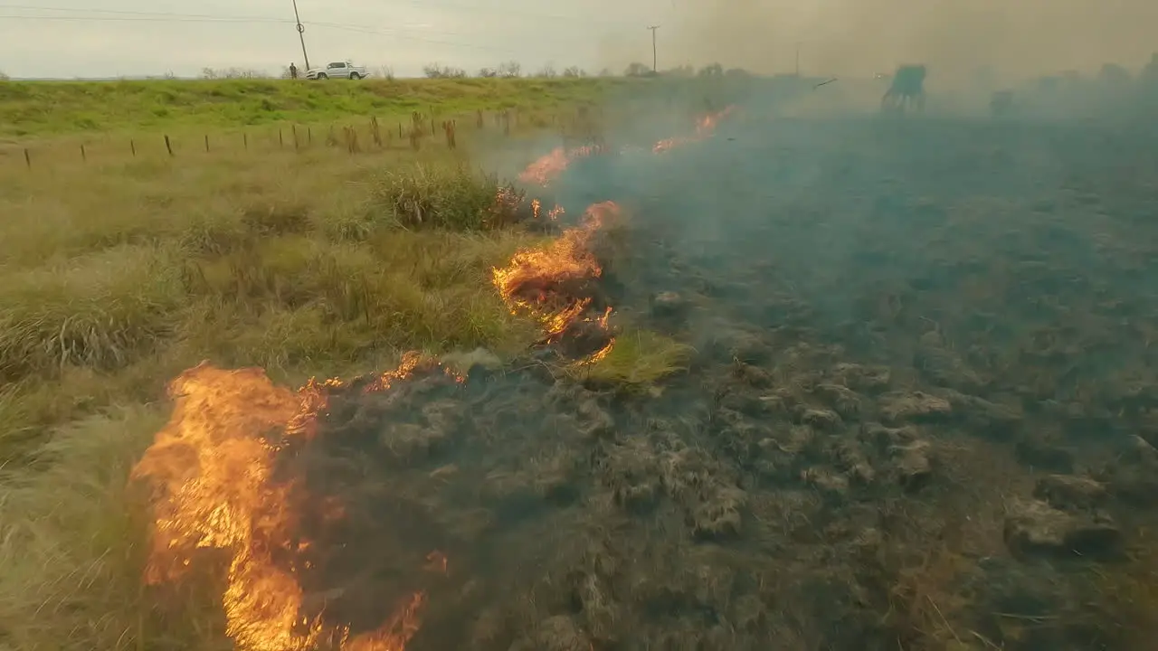 burning grassland to recultivate the farmland smoke and flames burning grass drone overview shot fireline FPV aerial flight forest fire 4k truck driving on road