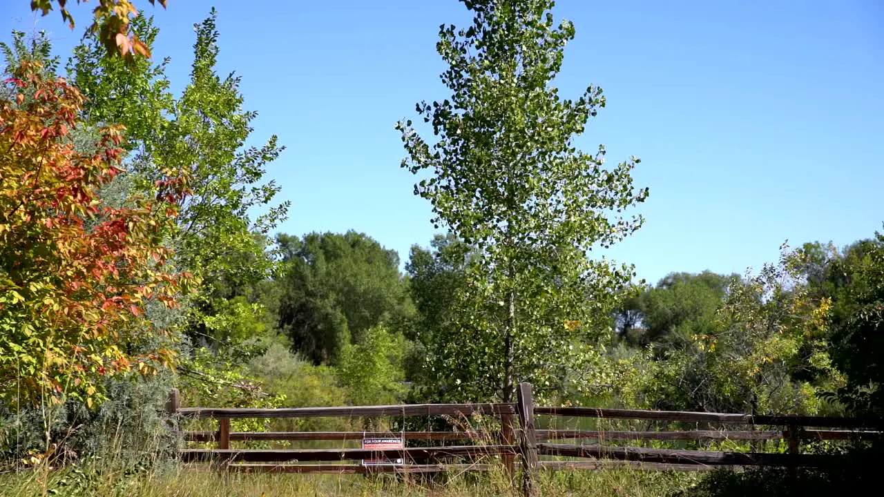 Bike racers going through a trail during a bike race in Boulder Colorado