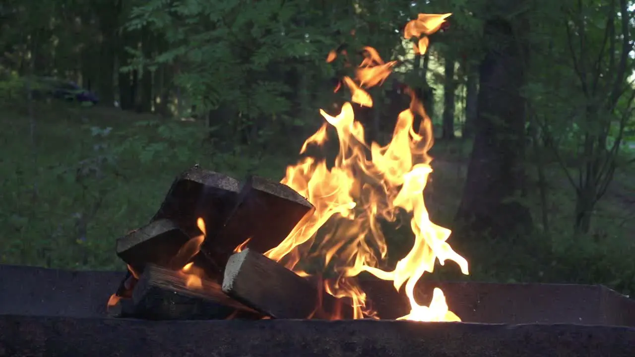 Burning firewood in brazier for cooking food on background summer nature