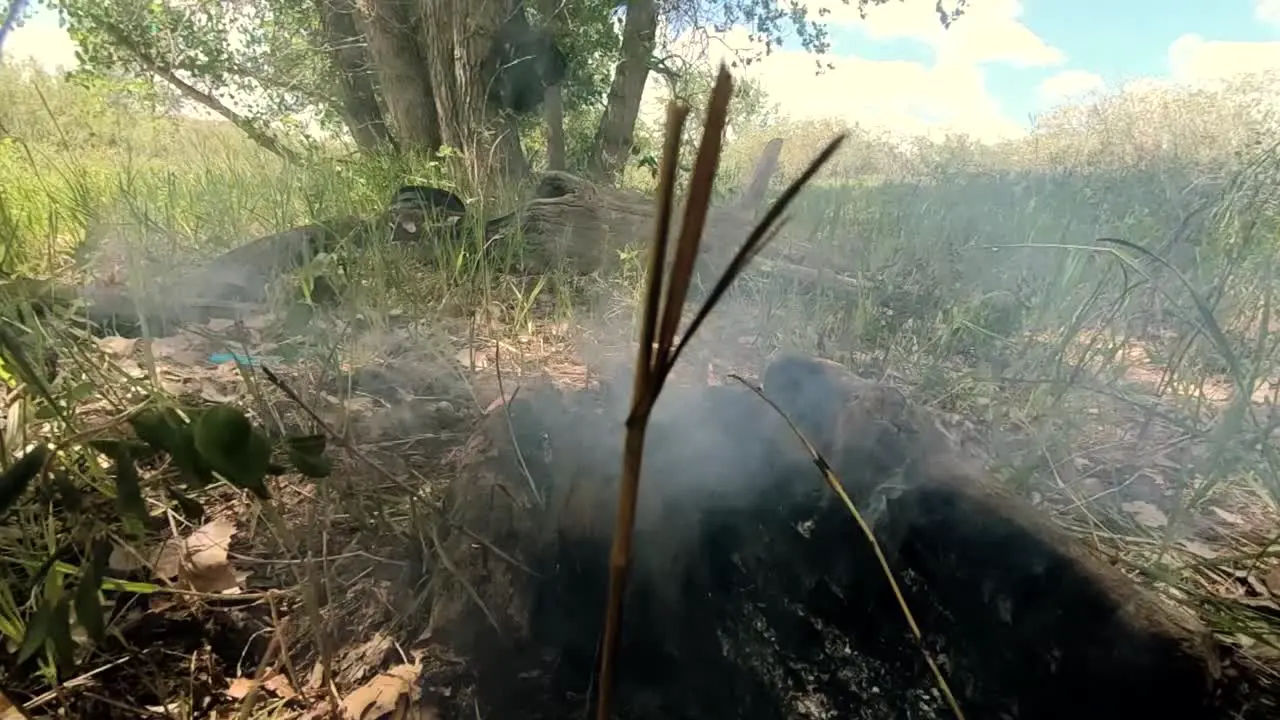 SLOW MOTION Smoke from a campfire after it was put out