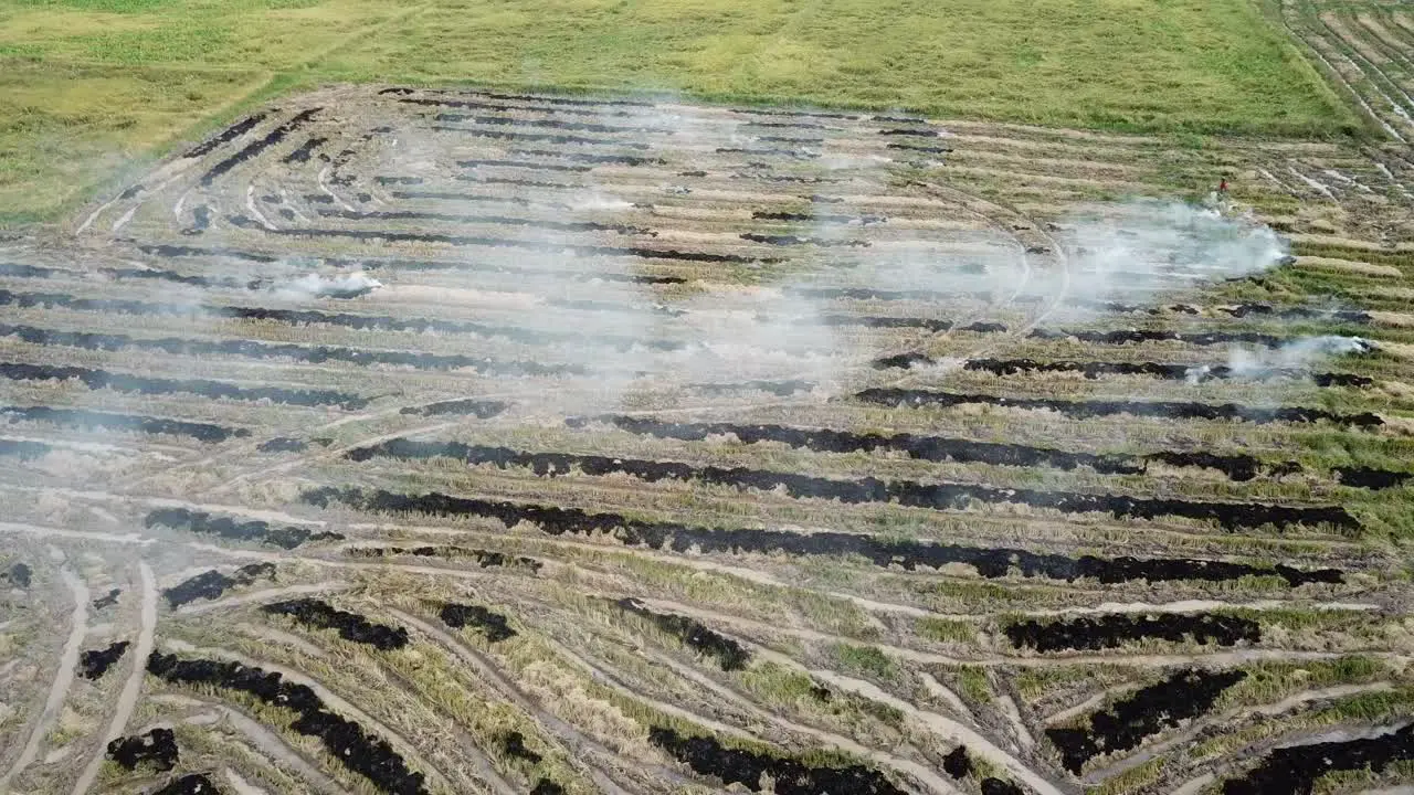 Open fire in the field burnt field and release white smoke at Malaysia