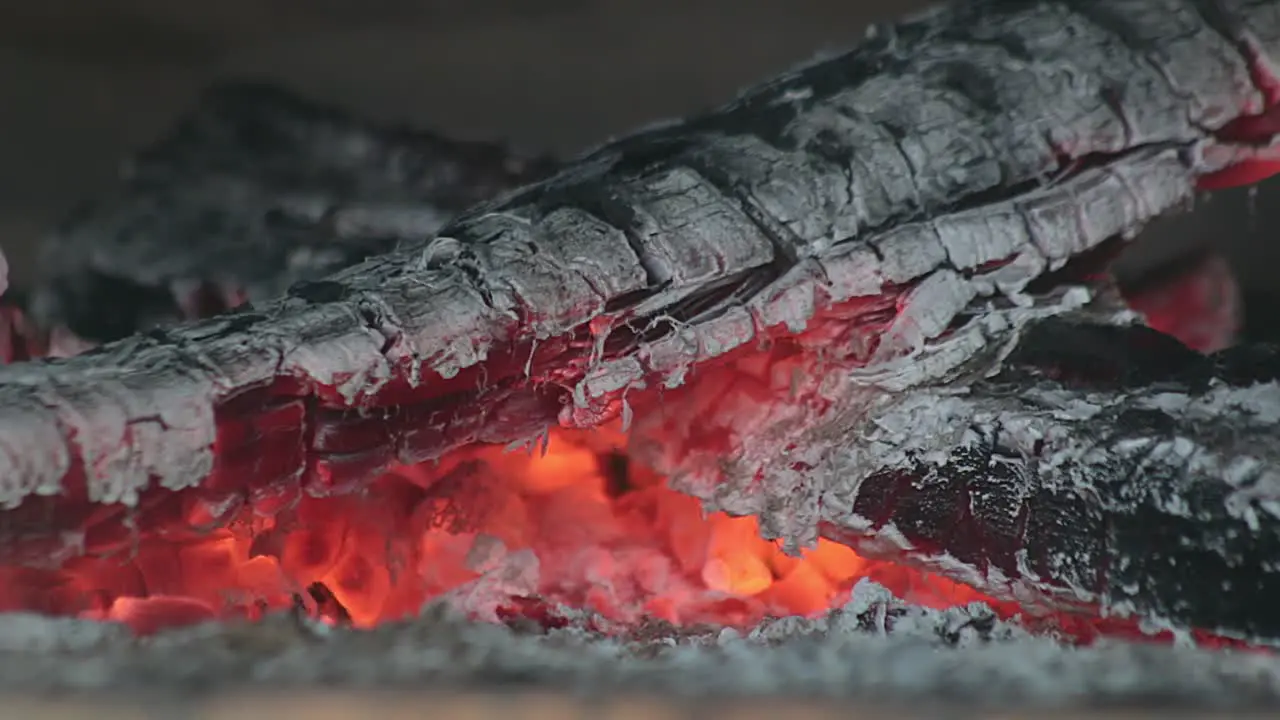 Close-up of wooden logs burning out